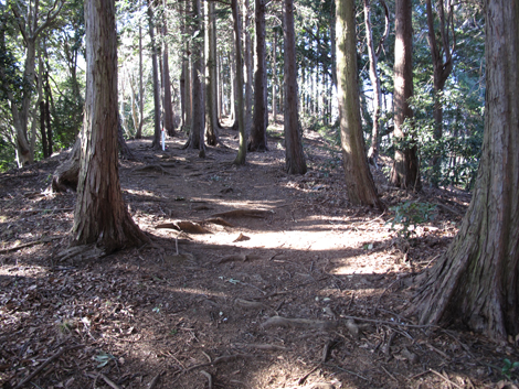 20170126hike (472)